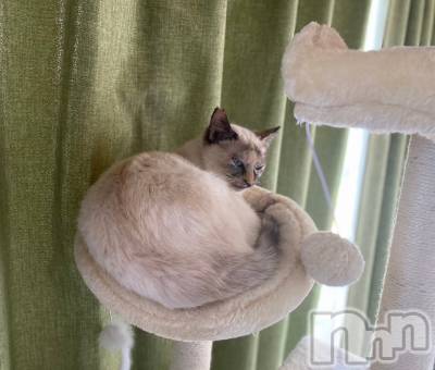 ��ë����Х��顦�����CLUB��Paladin(����֡��ѥ�ǥ���) �������ۤ�5��22���̥�֥�����𝐬𝐭𝐚𝐫𝐭▹▸��