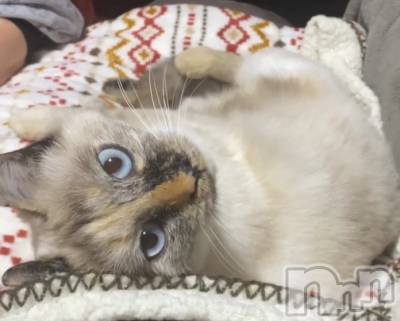 ��ë����Х��顦�����CLUB��Paladin(����֡��ѥ�ǥ���) �������ۤ�11��9���̥�֥�����😭😭😭😭😭��