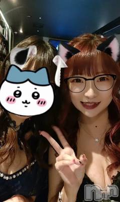 ��ë����Х��顦�����CLUB��Paladin(����֡��ѥ�ǥ���) �������ۤ�6��28���̥�֥�����LAST������