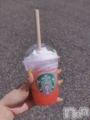 ��ë����Х��顦�����CLUB��Paladin(����֡��ѥ�ǥ���) �������ۤ�8��14���̥�֥�����life��