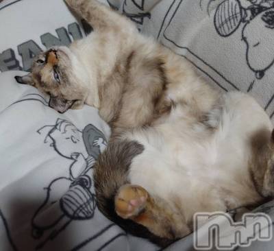 ��ë����Х��顦�����CLUB��Paladin(����֡��ѥ�ǥ���) �������ۤ�9��18���̥�֥����֥��㡼��ݥ����🦋��