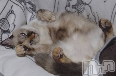 ��ë����Х��顦�����CLUB��Paladin(����֡��ѥ�ǥ���) �������ۤ�9��29���̥�֥����ֲ���פ��⤫�٤ޤ�������