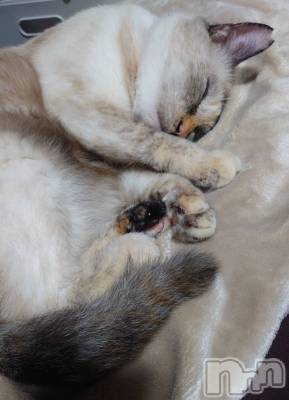 ��ë����Х��顦�����CLUB��Paladin(����֡��ѥ�ǥ���) �������ۤ�10��7���̥�֥�����2�ͤ�🥰��