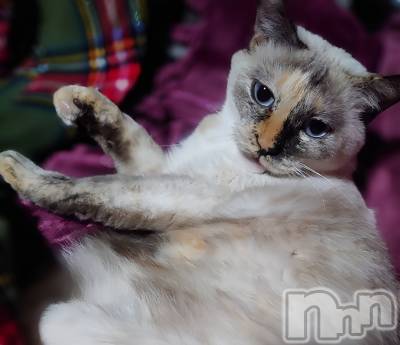 ��ë����Х��顦�����CLUB��Paladin(����֡��ѥ�ǥ���) �������ۤ�10��30���̥�֥����ֺ��ä��㤦(����-����)��