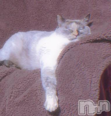 ��ë����Х��顦�����CLUB��Paladin(����֡��ѥ�ǥ���) �������ۤ�1��29���̥�֥�����🫠💗��