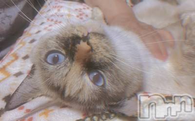 ��ë����Х��顦�����CLUB��Paladin(����֡��ѥ�ǥ���) �������ۤ�2��27���̥�֥����ַ����💭��