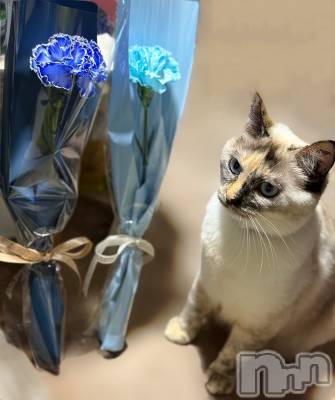 ��ë����Х��顦�����CLUB��Paladin(����֡��ѥ�ǥ���) �������ۤ�5��11���̥�֥�����Mother's Day🌷💗��