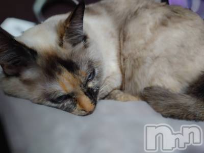 ��ë����Х��顦�����CLUB��Paladin(����֡��ѥ�ǥ���) �������ۤ�6��8���̥�֥�����𝑮𝒐𝒐𝒅 𝒎𝒐𝒓𝒏𝒊𝒏𝒈 🌞��