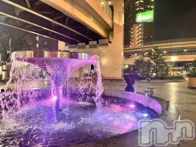 ��ë����Х��顦�����CLUB��Paladin(����֡��ѥ�ǥ���) �������ۤ�12��2���̥�֥�����1ǯ�֤Ρ�