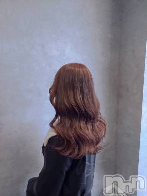 ��ë����Х��顦�����CLUB��Paladin(����֡��ѥ�ǥ���) �������ۤ�12��10���̥�֥�����𝑵𝑬𝑾��