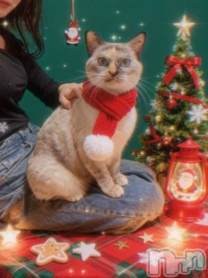 ��ë����Х��顦�����CLUB��Paladin(����֡��ѥ�ǥ���) �������ۤ�12��26���̥�֥�����‪🫶️💗��