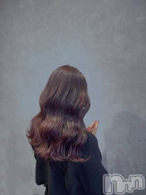 ��ë����Х��顦�����CLUB��Paladin(����֡��ѥ�ǥ���) �������ۤ�2��11���̥�֥����ֲ����˸����ޤ�������