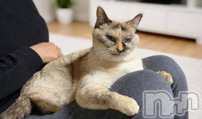 ��ë����Х��顦�����CLUB��Paladin(����֡��ѥ�ǥ���) �������ۤ�3��3���̥�֥����֤ҤʤޤĤ�🎎🍡🌸��