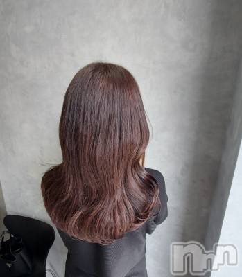 ��ë����Х��顦�����CLUB��Paladin(����֡��ѥ�ǥ���) �������ۤ�3��18���̥�֥�����𝐧𝐞𝐰��