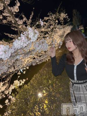 ��ë����Х��顦�����CLUB��Paladin(����֡��ѥ�ǥ���) �������ۤ�4��10���̥�֥������ܤ���