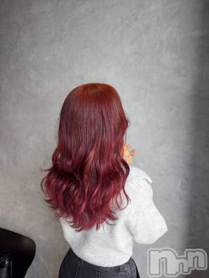 ��ë����Х��顦�����CLUB��Paladin(����֡��ѥ�ǥ���) �������ۤ�4��22���̥�֥������������Ƥ���(��)��