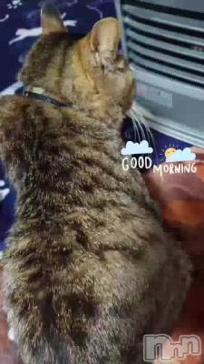 ���줫���