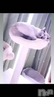 ��ɱ��👸💗