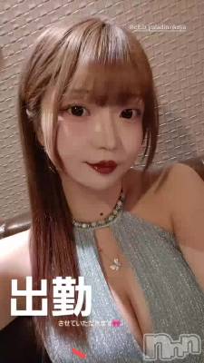 ����졩����