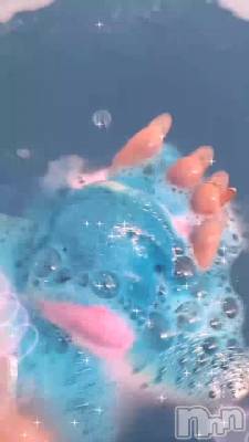 �Х�������🐈‍⬛🌙