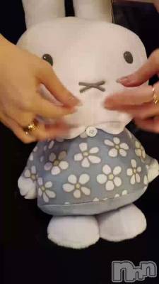 ������🐰