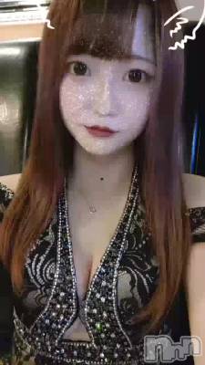 Ǻ����ʤ�Ǥ���