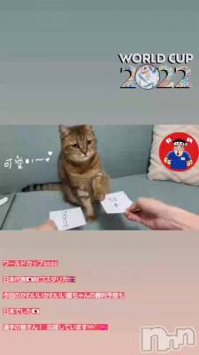 ����ͽ��2✌️🎌