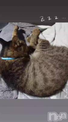 �ݥ��ƥ��֤�����☺️💓