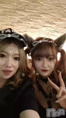 �������🕊𓂃 𓈒𓏸◌