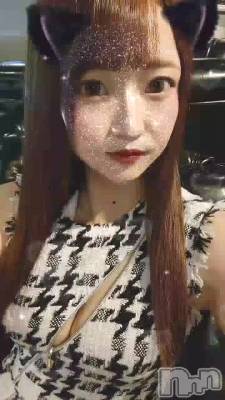 ������🌷