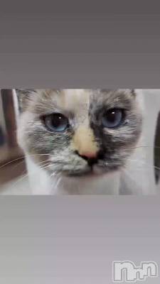 �߱���᤭���Ф��Ƥ��ޤ��褦��