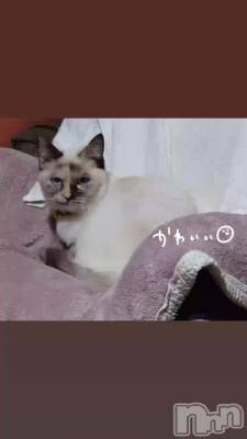 �Ϥ���ޤ���