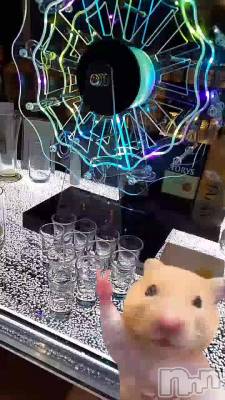 �⡼�˥󥰥ƥ�����🥃