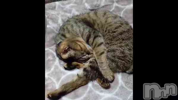 ��������🥰��