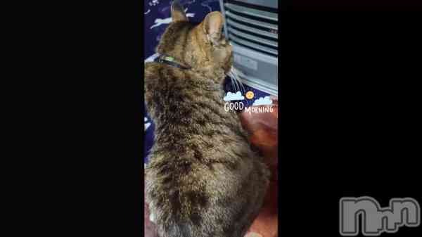 �֤��줫����