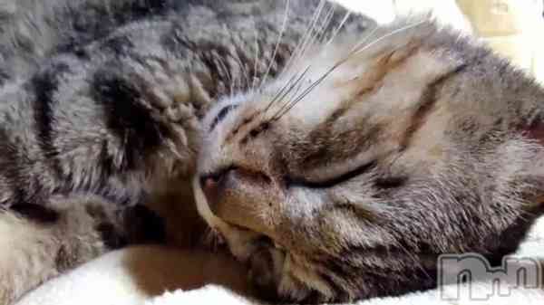 �֥��䥹���