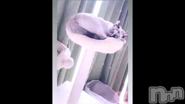 �֤�ɱ��👸💗��