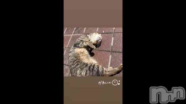 �֥��祮������🏃‍��️��