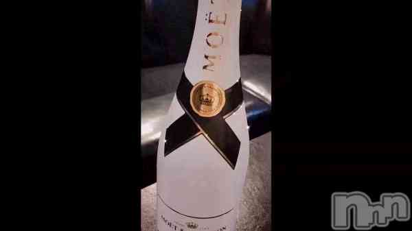 �ֶ���✨��