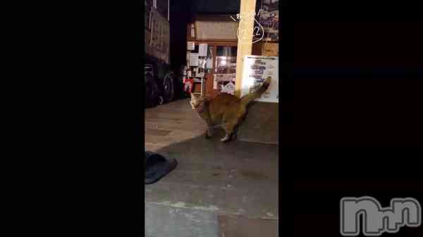 �ֺ�����🐱💗��