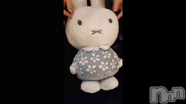 ��������🐰��