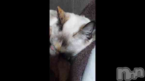 ��🐦��������