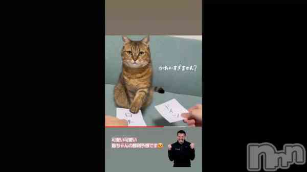 �־���ͽ��🎉��