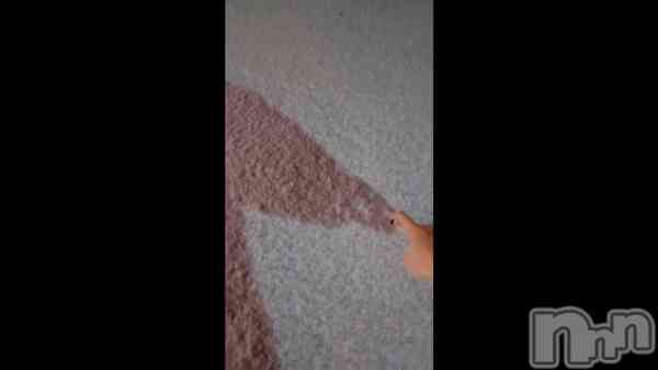 ��Ƹ���˵����