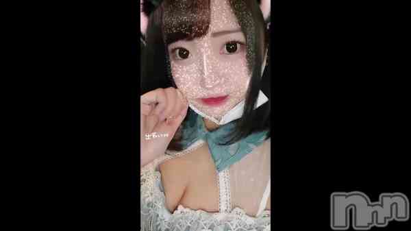 ��🐾😸��