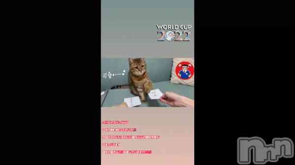 �־���ͽ��2✌️🎌��