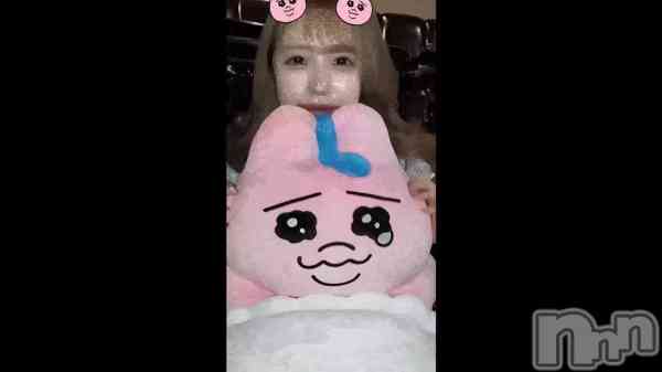 �������ۡ�����������