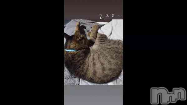 �֥ݥ��ƥ��֤�����☺️💓��