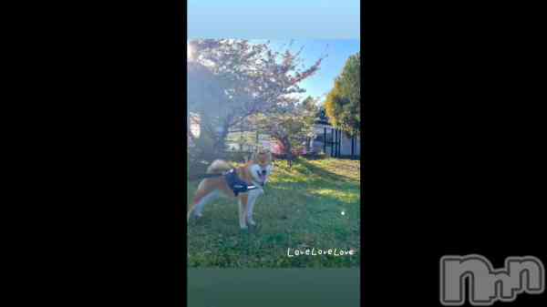 ��- ̗̀ ♡  ̖́-��