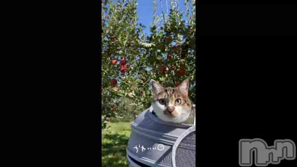 �֥������饤��🍎��